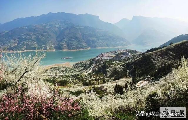 作物生产与经营管理 （作物生产与经营管理专业学什么）