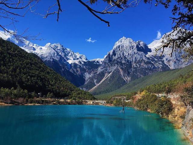 晋中市和顺县纸飞机账号购买服务