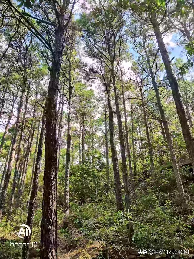 灌云冬天旅游攻略路线， 灌云冬天旅游攻略路线图