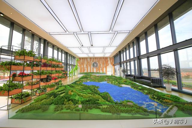 弥勒市旅游带娃必去景点(图3)