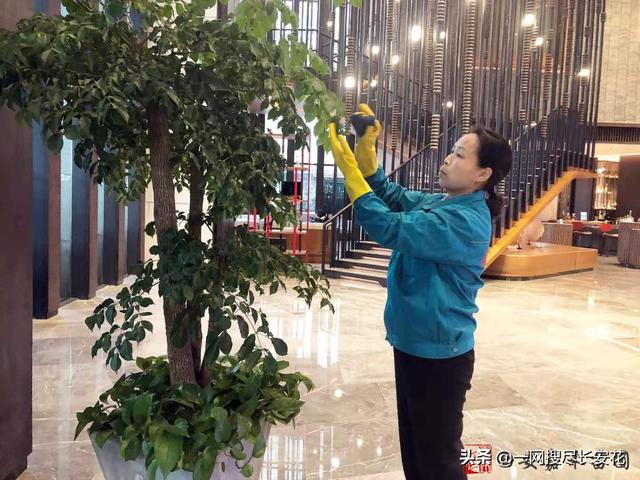 西安市鲜花店配送（西安同城鲜花配送）