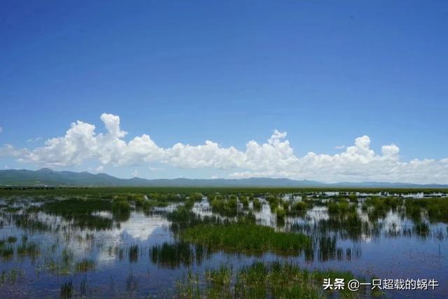 若尔盖旅游穿搭夏季， 若尔盖旅游穿衣指南