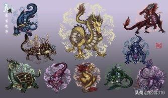 龙图片大全100张（龙图片大全100张二龙戏珠）