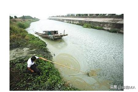 治理蓝藻? 治理蓝藻的3种方法!