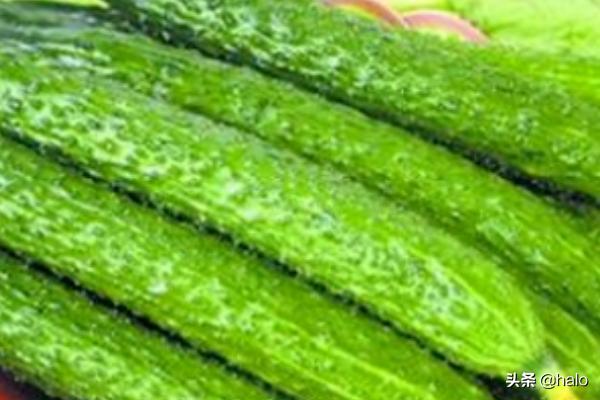 芒种吃什么，芒种节气适合吃什么？