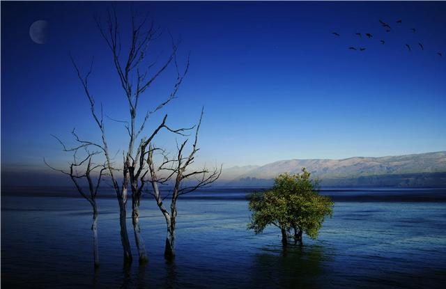 11月必去的云南景点(图19)