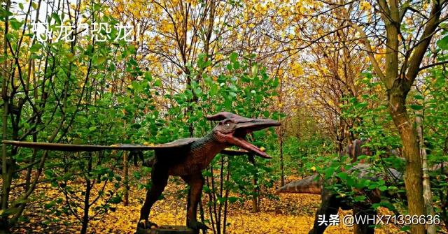 过年广州市有什么农庄