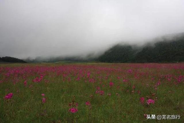 丽江哪些是必去景点的(图11)