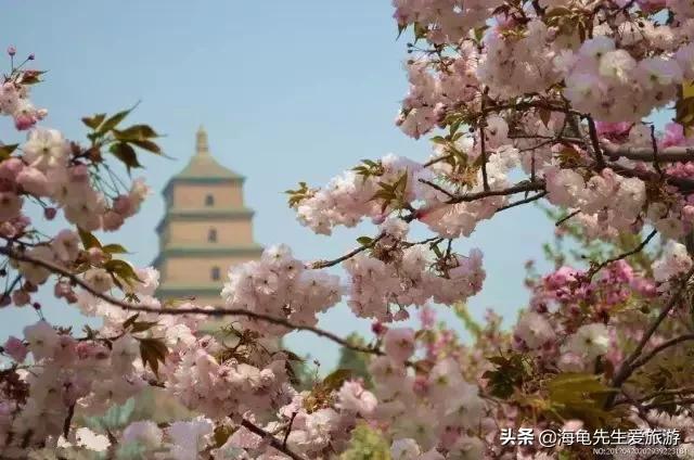 早春西安旅游穿搭， 早春西安旅游穿搭图片