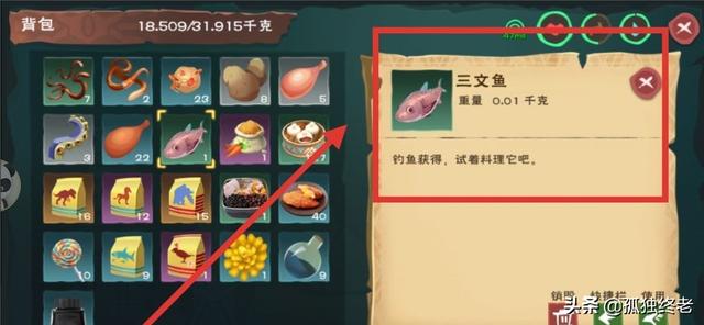 创造与魔法水池龟饲料保底多少？：创造与魔法水池龟饲料要多少包