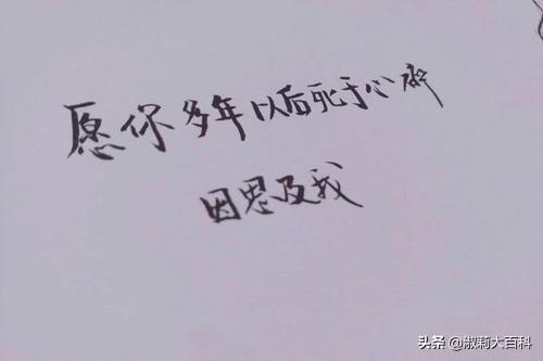 只愿世间风景千般万般熙攘过后，字里行间，人我两忘，相对无言.什么意思