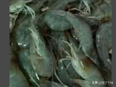 皇冠头模特如何搭配好看(图4)