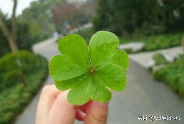 如何在线上推广产品呢视频教程