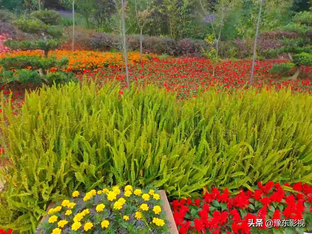 去云南旅游，到当地抱团比较好还是跟团直接去好