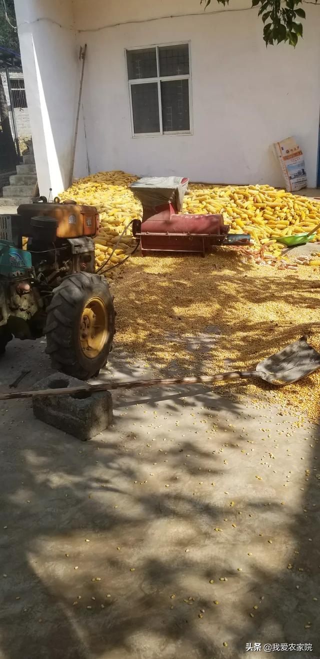 乡镇致富网(在农村做什么生意好?致富好项目？)