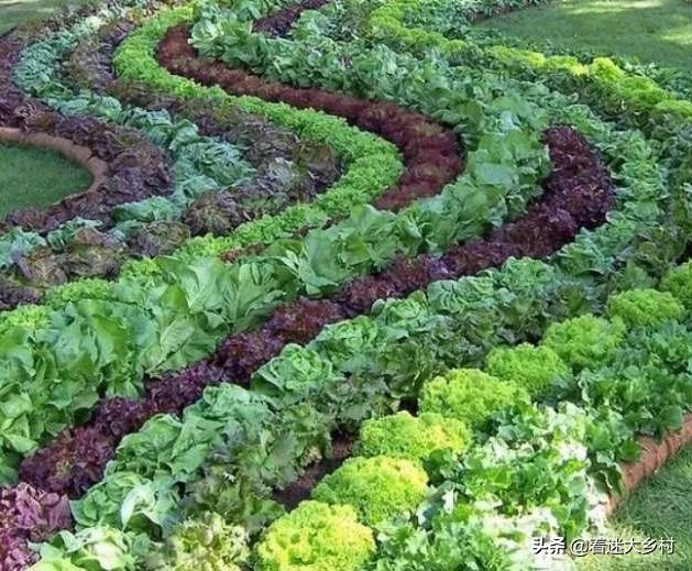 日照日式园林景观设计日照园林设计公司