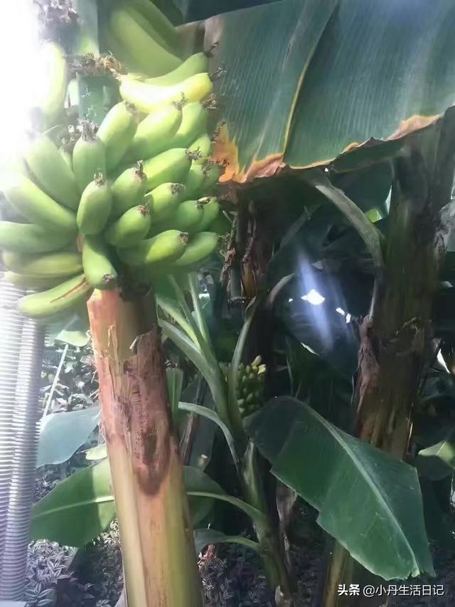乌鲁木齐附近必去的景点(图2)
