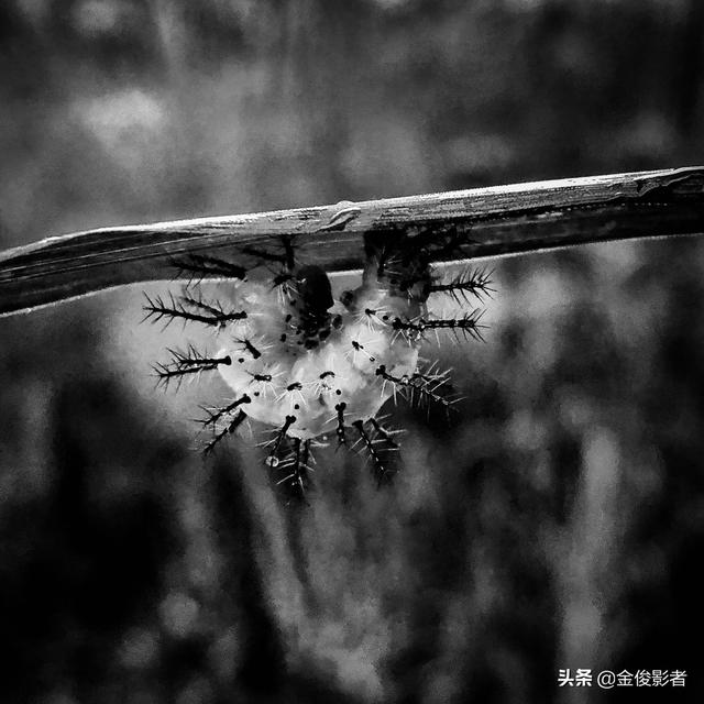 摄影行业资讯，摄影行业资讯网站
