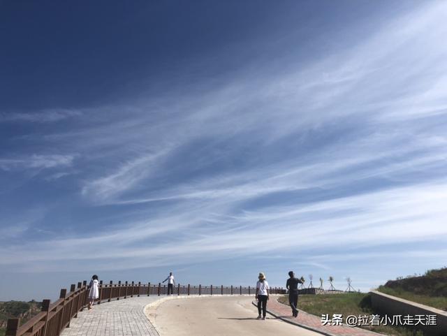 榆林市佳县纸飞机账号购买服务