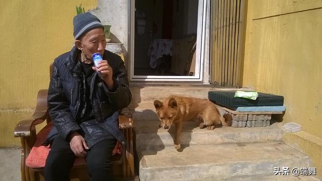 抖音国际版伤心小狗55