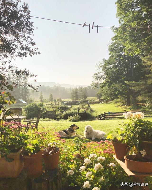 篮球运动员一般受什么样的伤就可能导致运动生涯结束,第3张