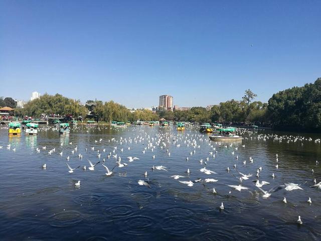 云南和河南在地图上的位置？