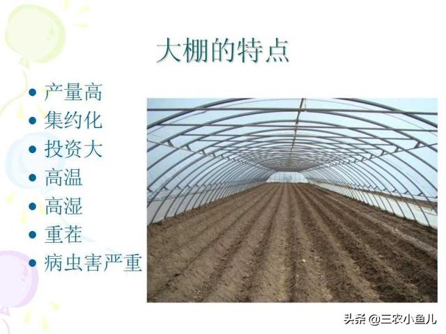 蔬菜大棚视频大全高清 如何建造蔬菜大棚？