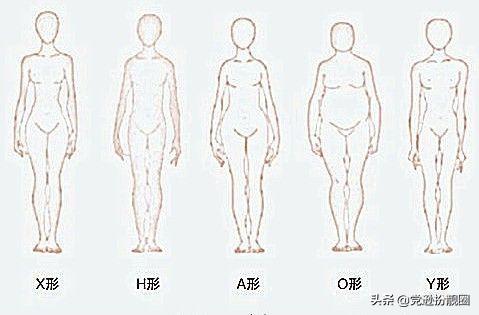 女士肩宽怎么搭配衣服(图1)