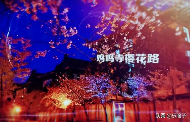 南京打卡景点门票设计价格， 南京打卡景点门票设计价格表