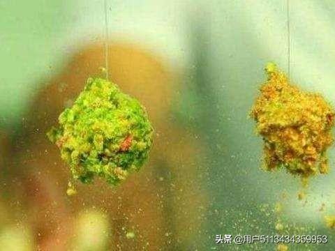 鱼饵容易散开怎么办-鱼饵容易散开怎么办视频