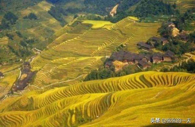 桂林龙胜梯田-桂林龙胜梯田最佳旅游时间