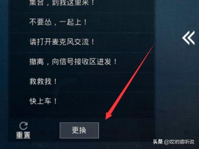 王者吃鸡聊天怎么设置(图11)