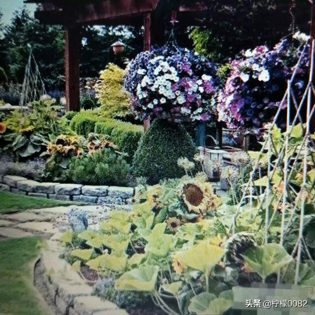 什么是花境？花境植物可以选什么？该如何搭配？：景观设计根花镜的区别