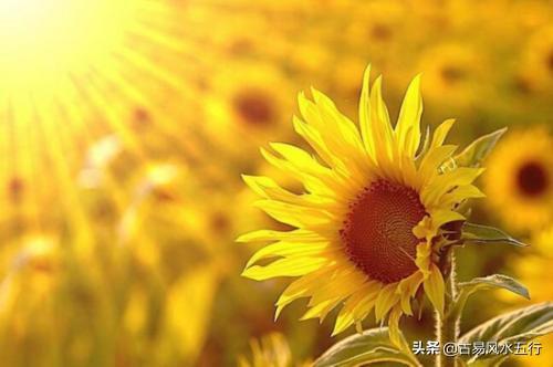 上海地铁辟谣