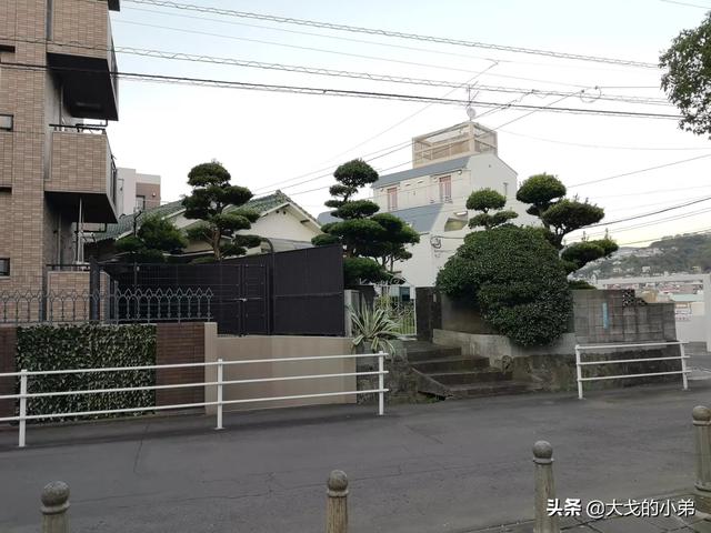 涉县春天旅游景点大全介绍， 涉县春天旅游景点大全介绍图片