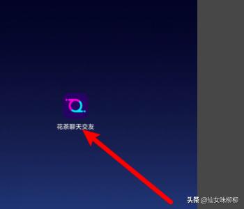 花爱交友收费价目表（花爱语控股集团）