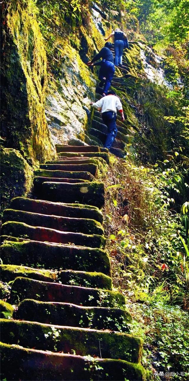 江津走马旅游景点大全， 江津走马旅游景点大全图片