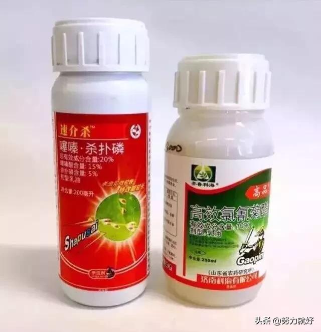 除虫菊酯类的杀虫剂有几种