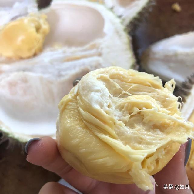 去玩相册 玩玩的相册-第53张图片-春华游戏网