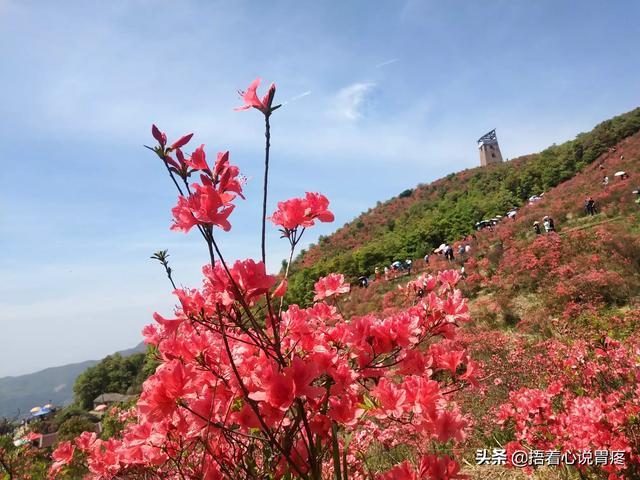 泰顺至永州高铁路线，泰顺至永州高铁路线图