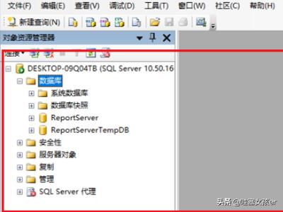 sql server 搭建网站