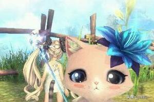 剑灵好卡 剑灵新手卡-第4张图片-随然AIR主题