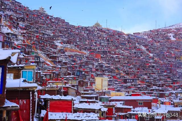 西宁市湟中区纸飞机账号购买服务