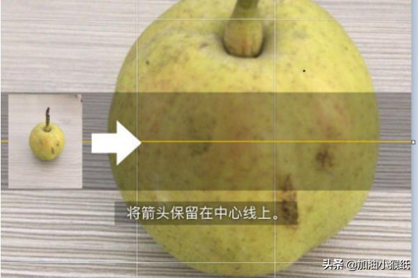 全景拍摄技巧和手法？：全景照片怎么拍