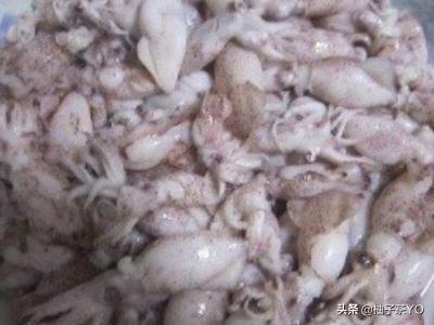 海兔怎么做好吃_海兔怎么做好吃又简单的家常做法