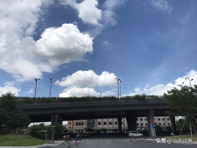过年吃胖了怎么穿衣搭配(图2)