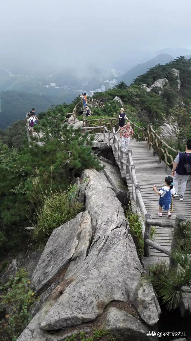 宜春果园采摘基地李子种植,宜春果园采摘基地李子种植时间