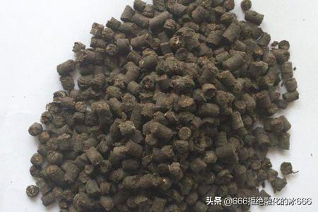 金钱草种植方法，金钱草种植方法和注意事项