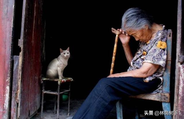 给老人送什么盆栽比较好_与老人生活在一起，有时会无故心烦意乱，感觉他们很讨厌，但事后又感到很愧疚，我该怎么办