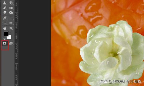 蒙版的作用ps蒙版的作用